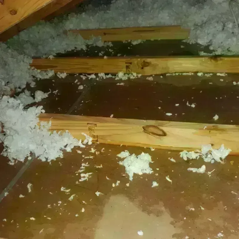 Attic Water Damage in Williamsburg, MA